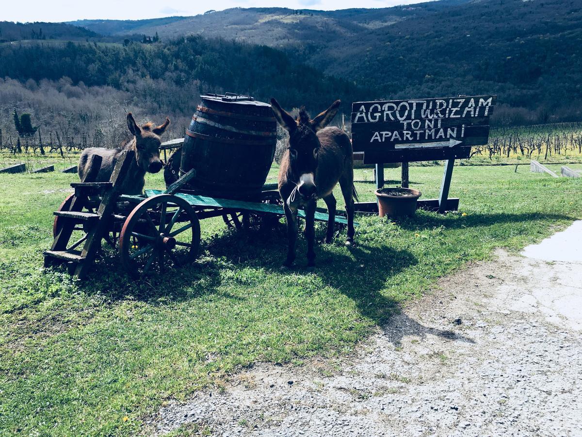 Agroturizam Toni Apartment Motovun Bagian luar foto