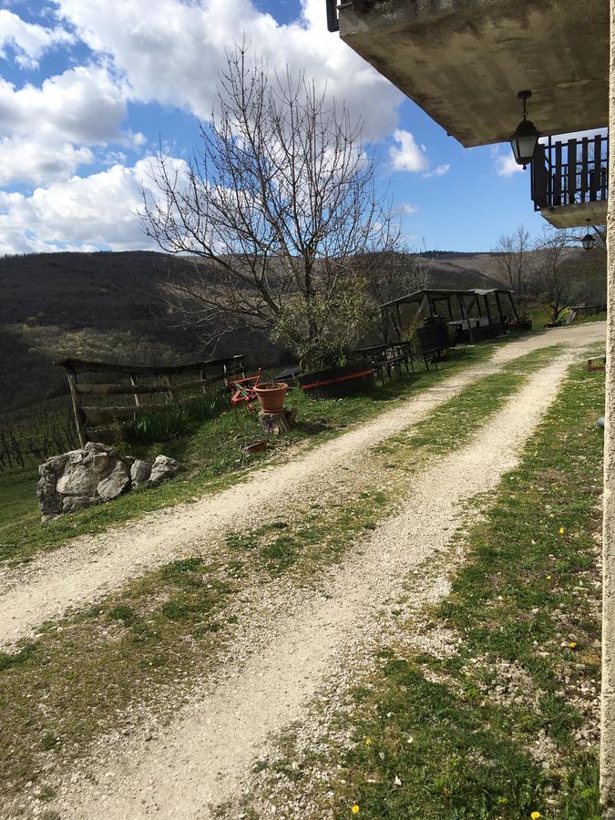 Agroturizam Toni Apartment Motovun Bagian luar foto